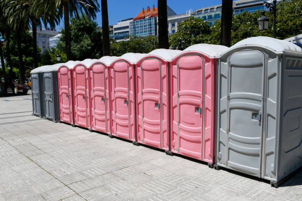 Best Deluxe Portable Toilet Rental  in Loogootee, IN